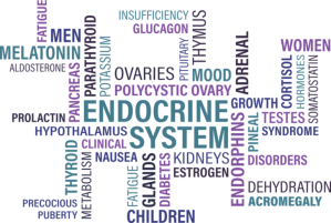 Illustration of the endocrine system, showing hormones, organs, and factors affecting the system, such as glands and their functions.