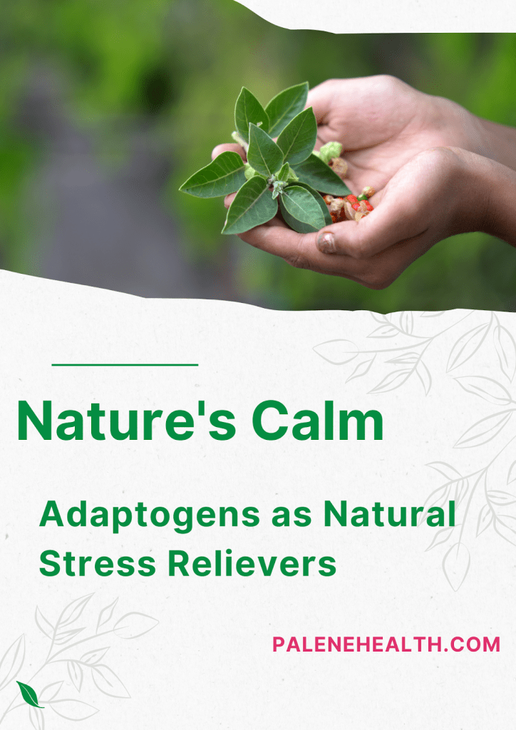 An image of various adaptogenic herbs, including Rhodiola, Holy Basil, and Ginseng, known for their stress-relieving properties.
