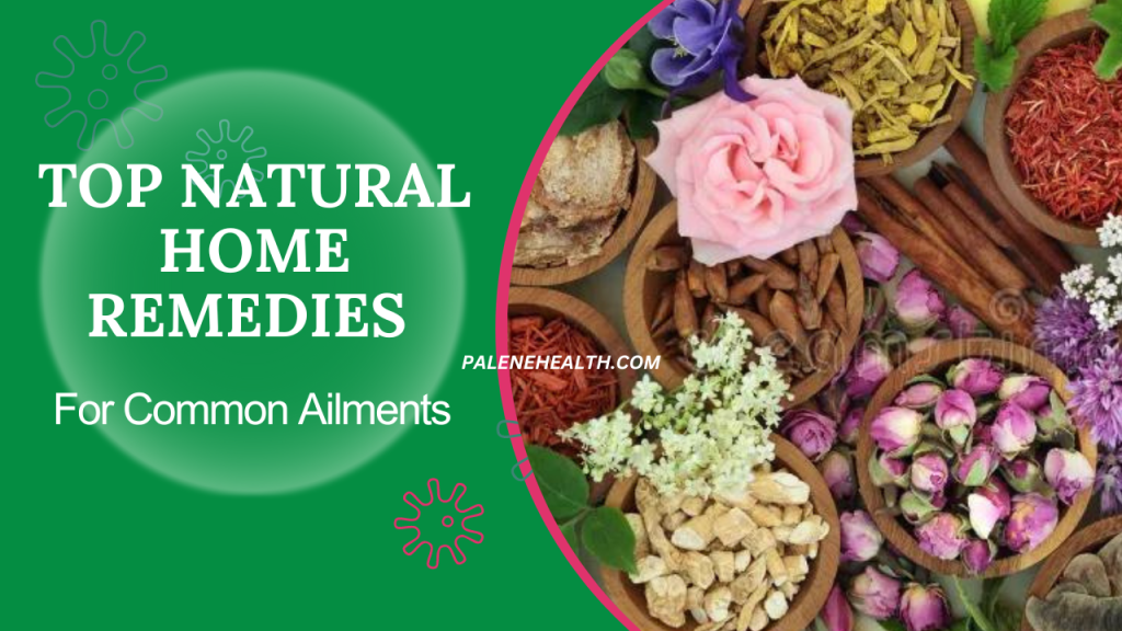 A variety of herbs used in natural remedies for common ailments arranged artistically